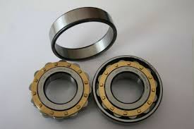 Vòng bi trụ / Cylindrical Roller Bearings